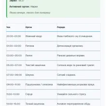 Діаграма біоенергетичного годинника: добове коло з двогодинними секторами, у кожному секторі підпис активного органа (легені, печінка, серце тощо) та позначено поточний сектор часу.